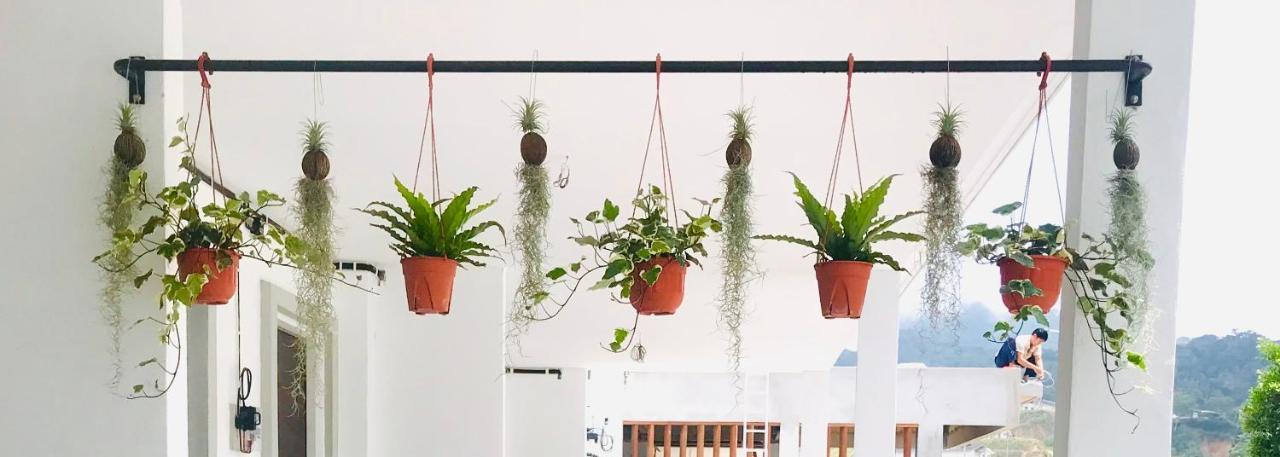 Comfy Sofy 21- Backyard Garden- Night Market Area Cameron Highlands Exterior foto