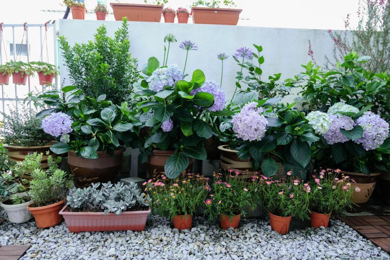 Comfy Sofy 21- Backyard Garden- Night Market Area Cameron Highlands Exterior foto